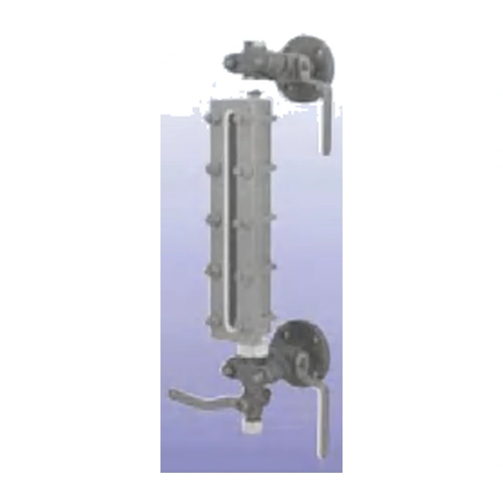 Level gauge for steam service