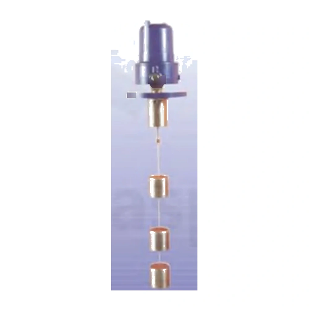 Magnetic level switch